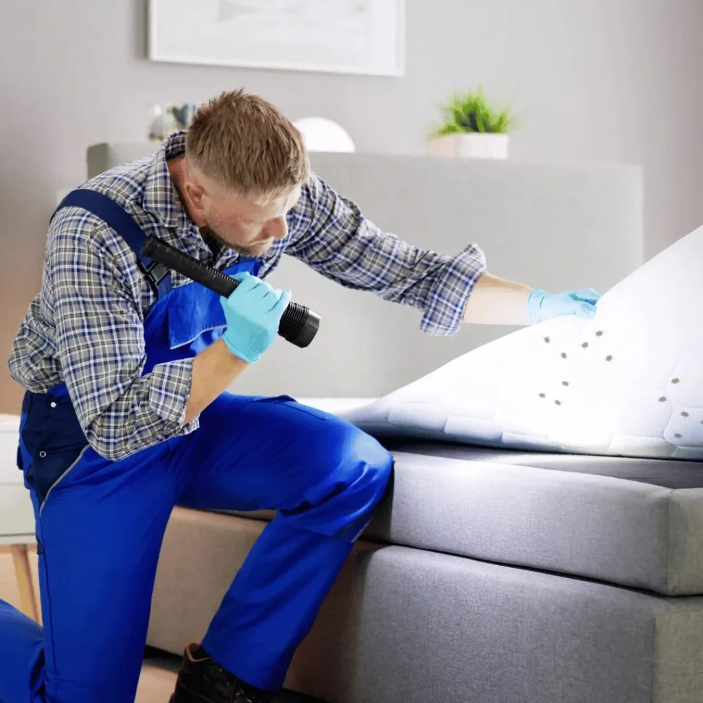 Technician inspecting mattress for bed bugs using flashlight during home pest control service