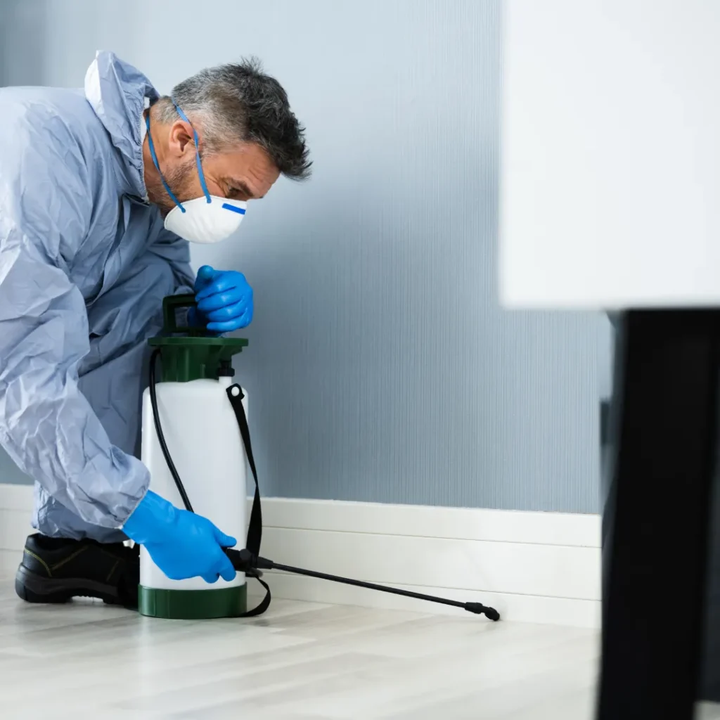 A pest control worker wearing protective clothing, gloves, and a face mask sprays insecticide along the baseboard inside a home.